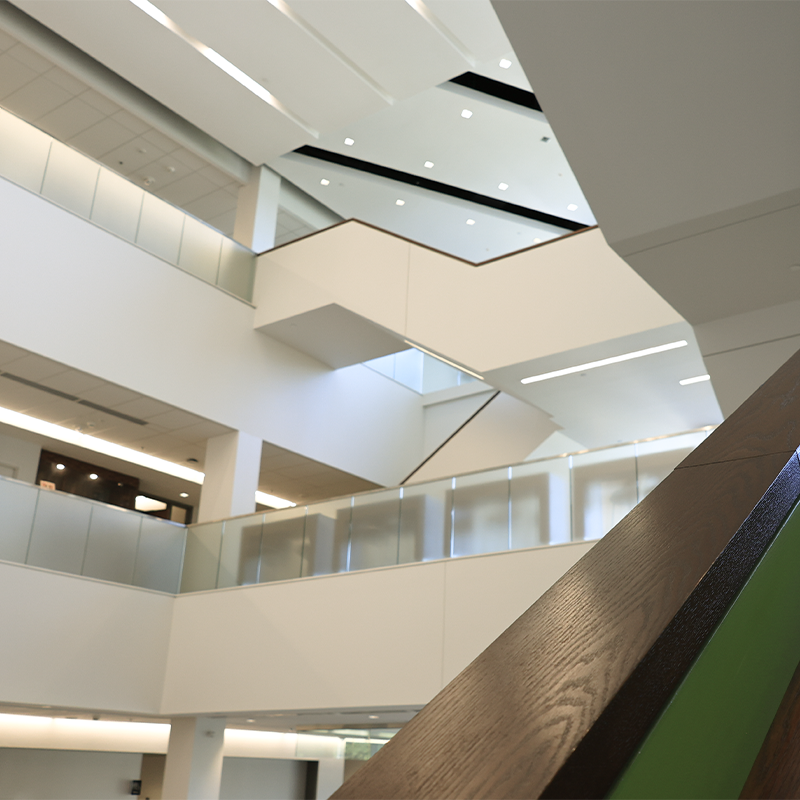 Staircase over looking the FIMS atrium