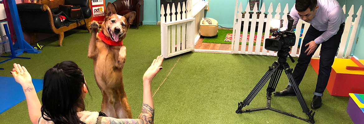 Student filming a dog trainer