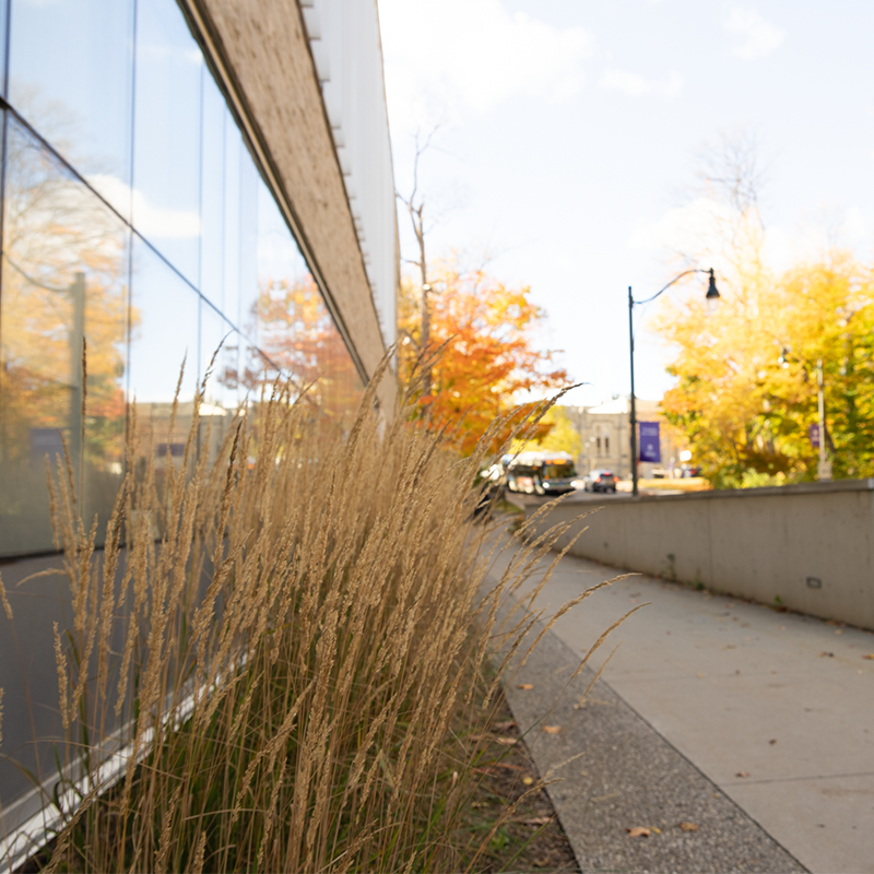 Asper Fellowship in Media