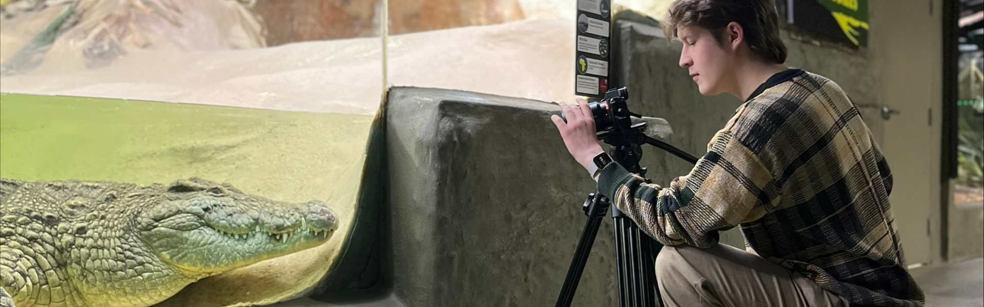 Student filming an alligator