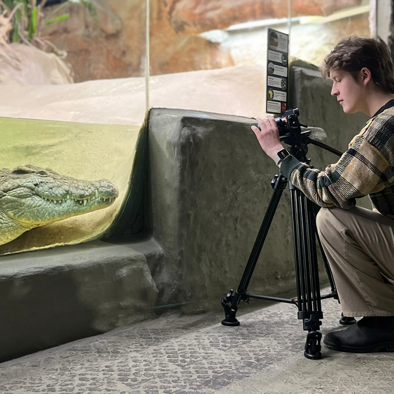 Student filming an alligator