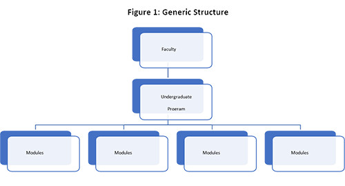 Figure 1 - Generic Structure
